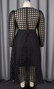 Back View of Black Color - Sheer Beauty Overlay Dress ☆ Preorder ☆ ETA 2/3 Weeks